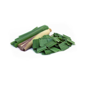 Citronelle Java terisk Olie KO