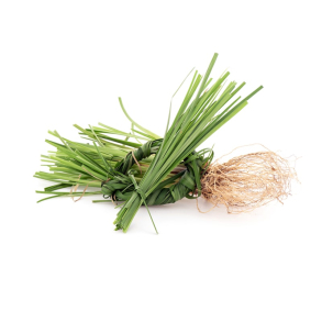 Vetiver Indien terisk Olie KO