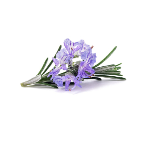 Rosmarin terisk Olie KO