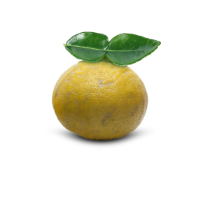 Petitgrain Bergamot terisk Olie