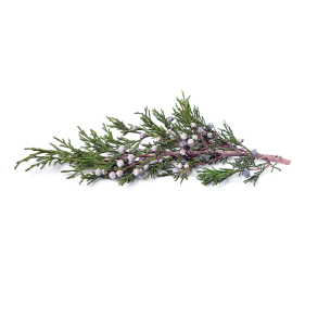 Cedertr Virginia terisk Olie KO