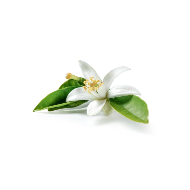 Neroli terisk Olie