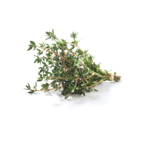 Timian terisk Olie KO