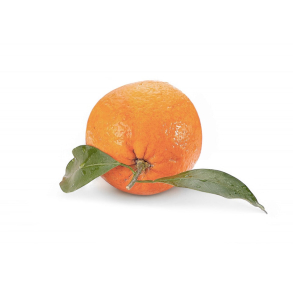 Petitgrain Mandarin terisk Olie